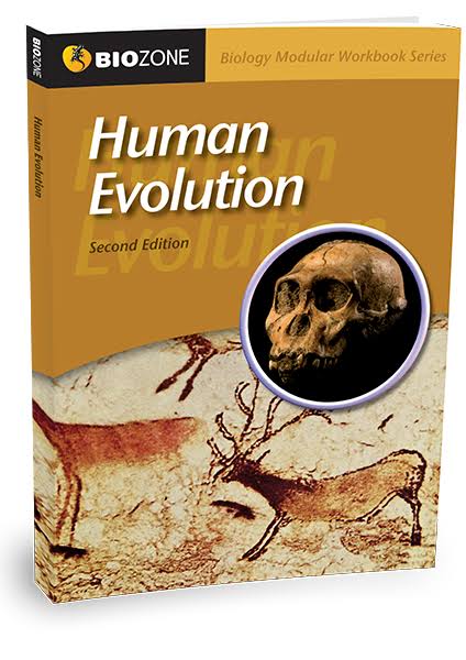 Human Evolution Workbook